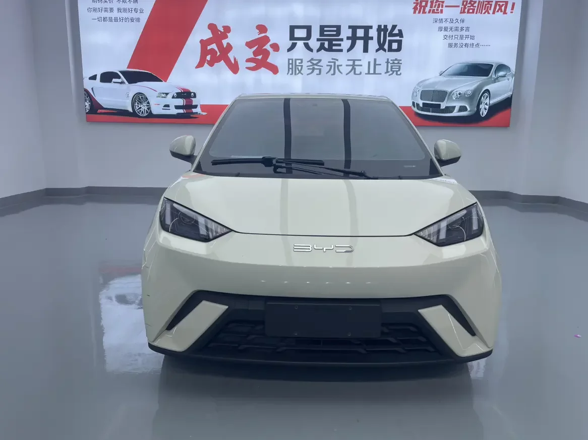 BYD seagull