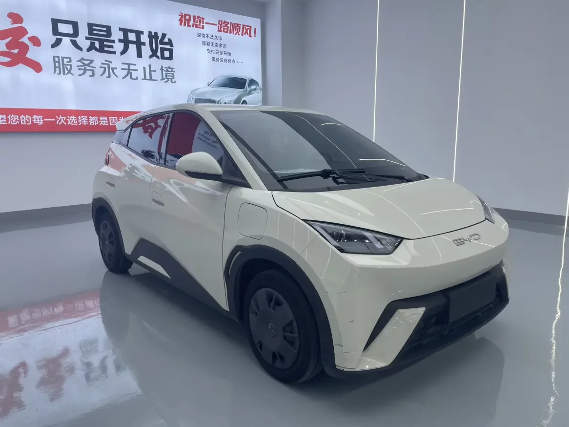 BYD seagull