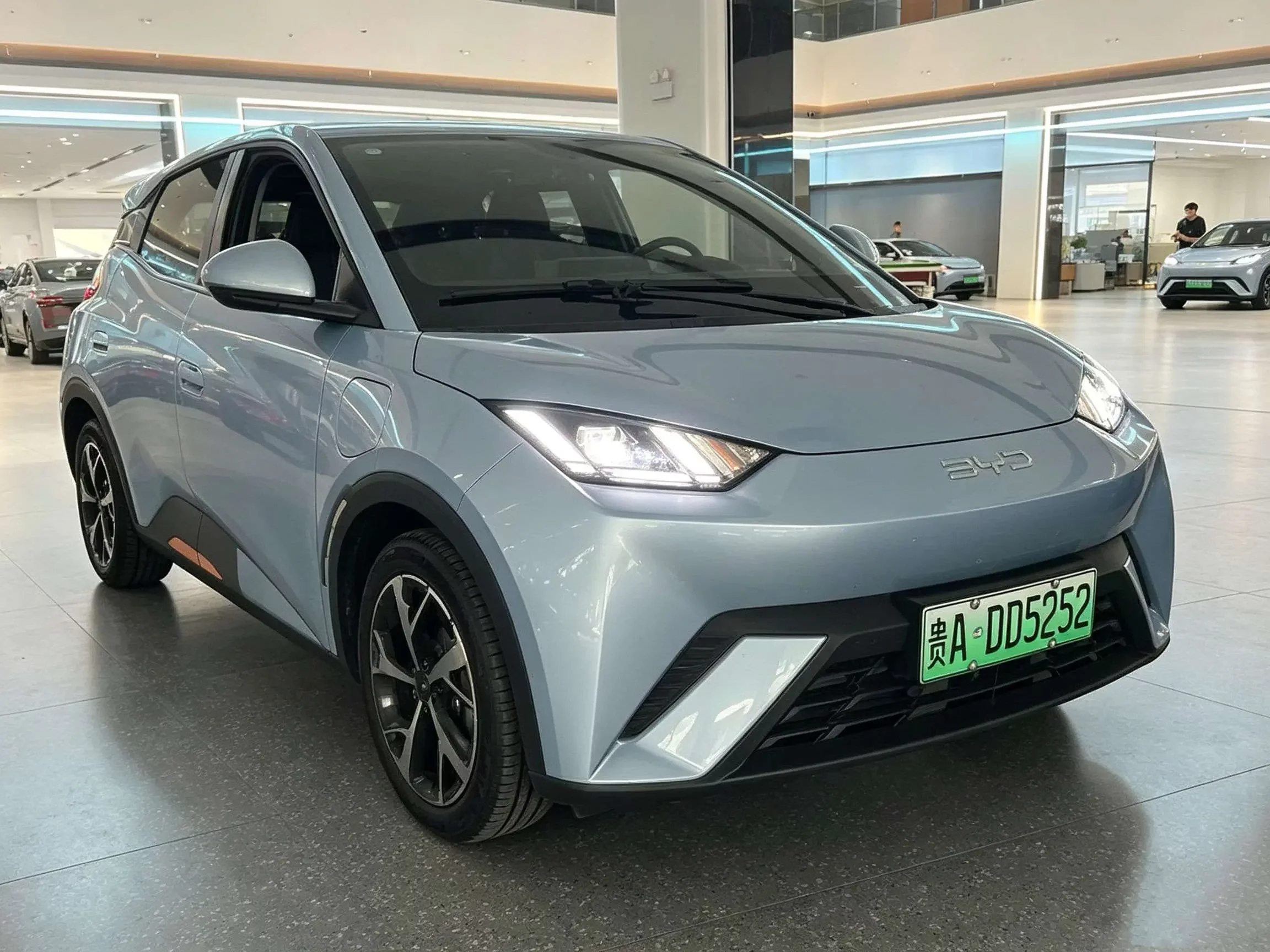 BYD seagull