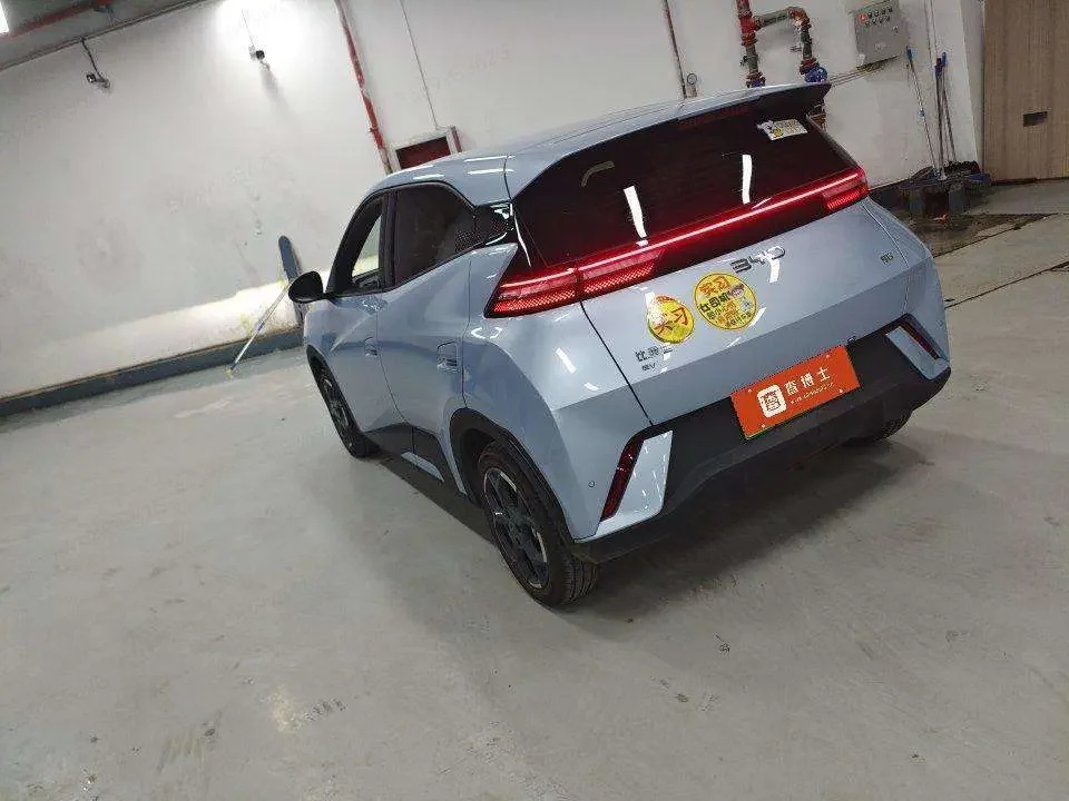BYD seagull