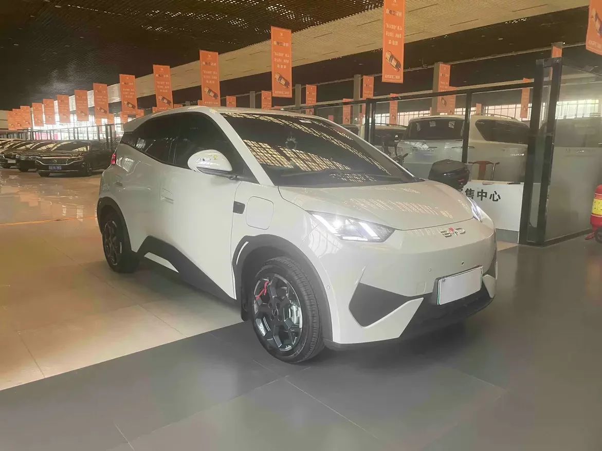 BYD seagull