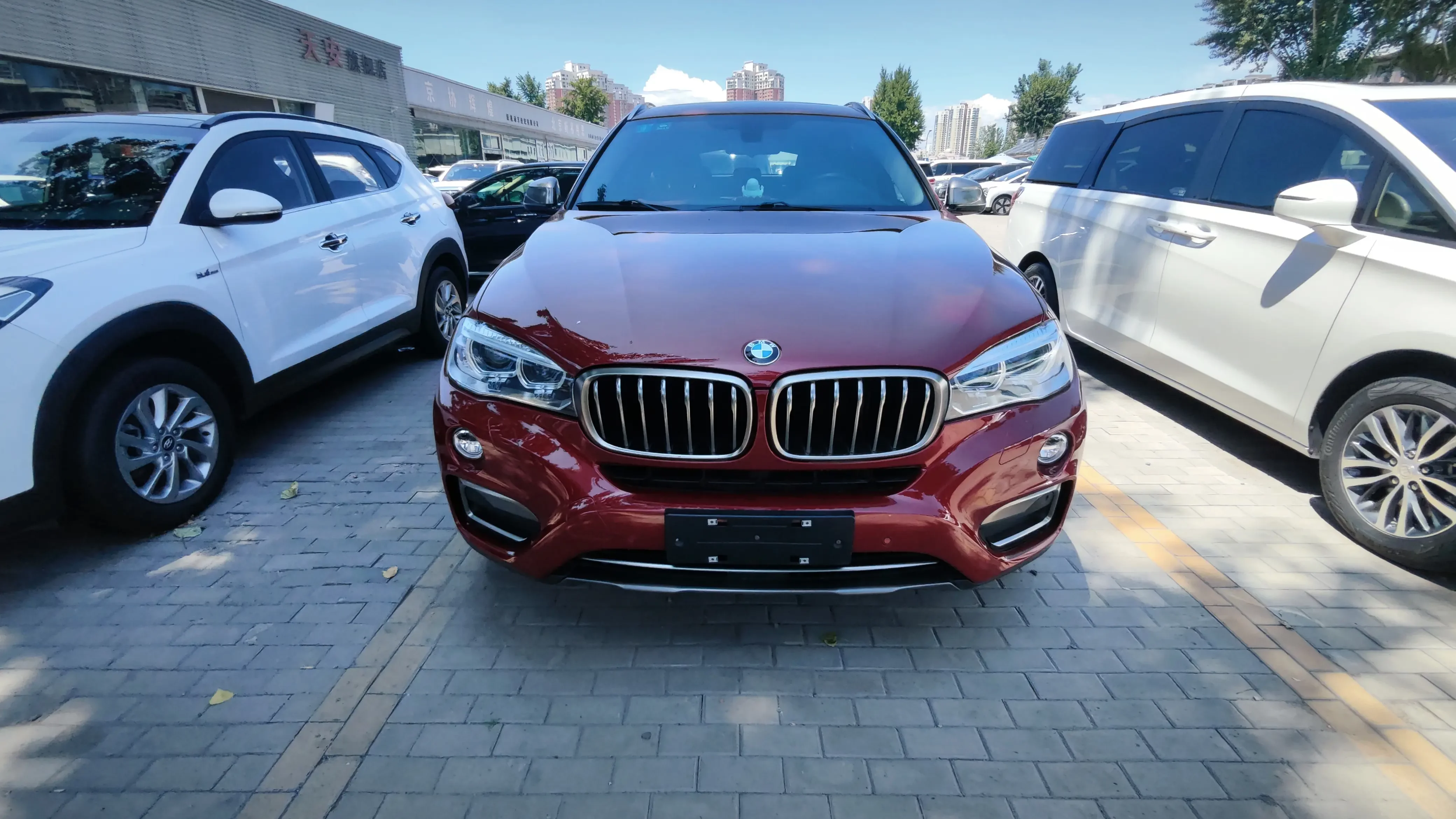 BMW X6