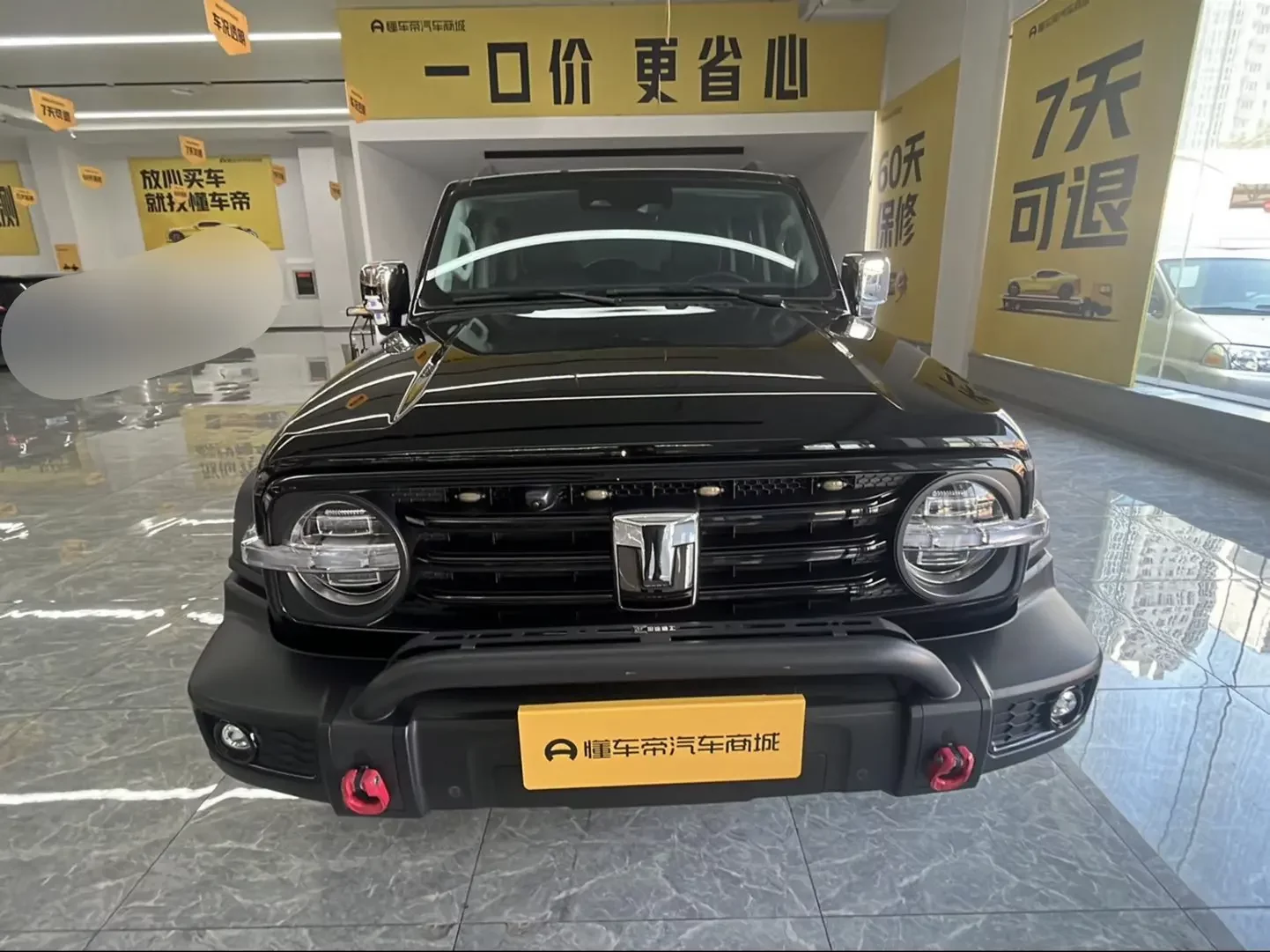 Tank 300