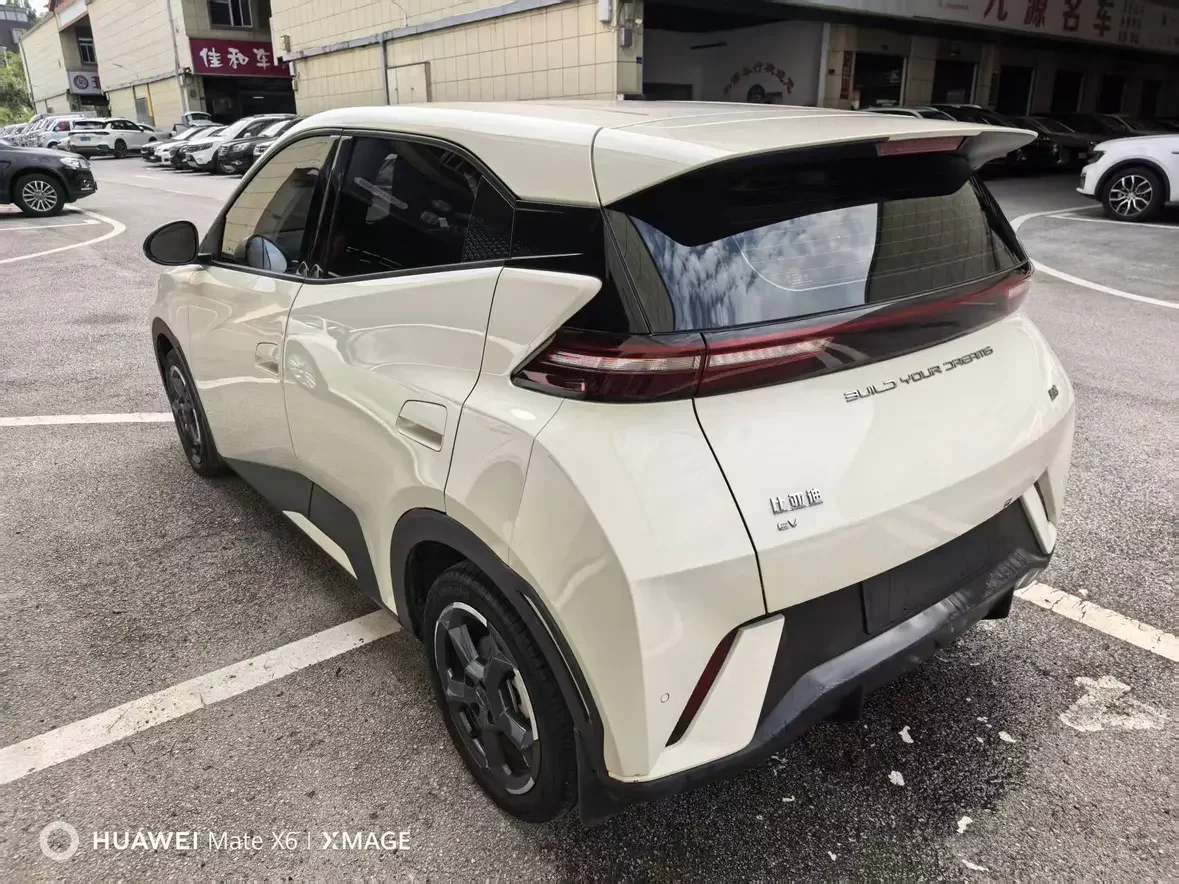 BYD seagull