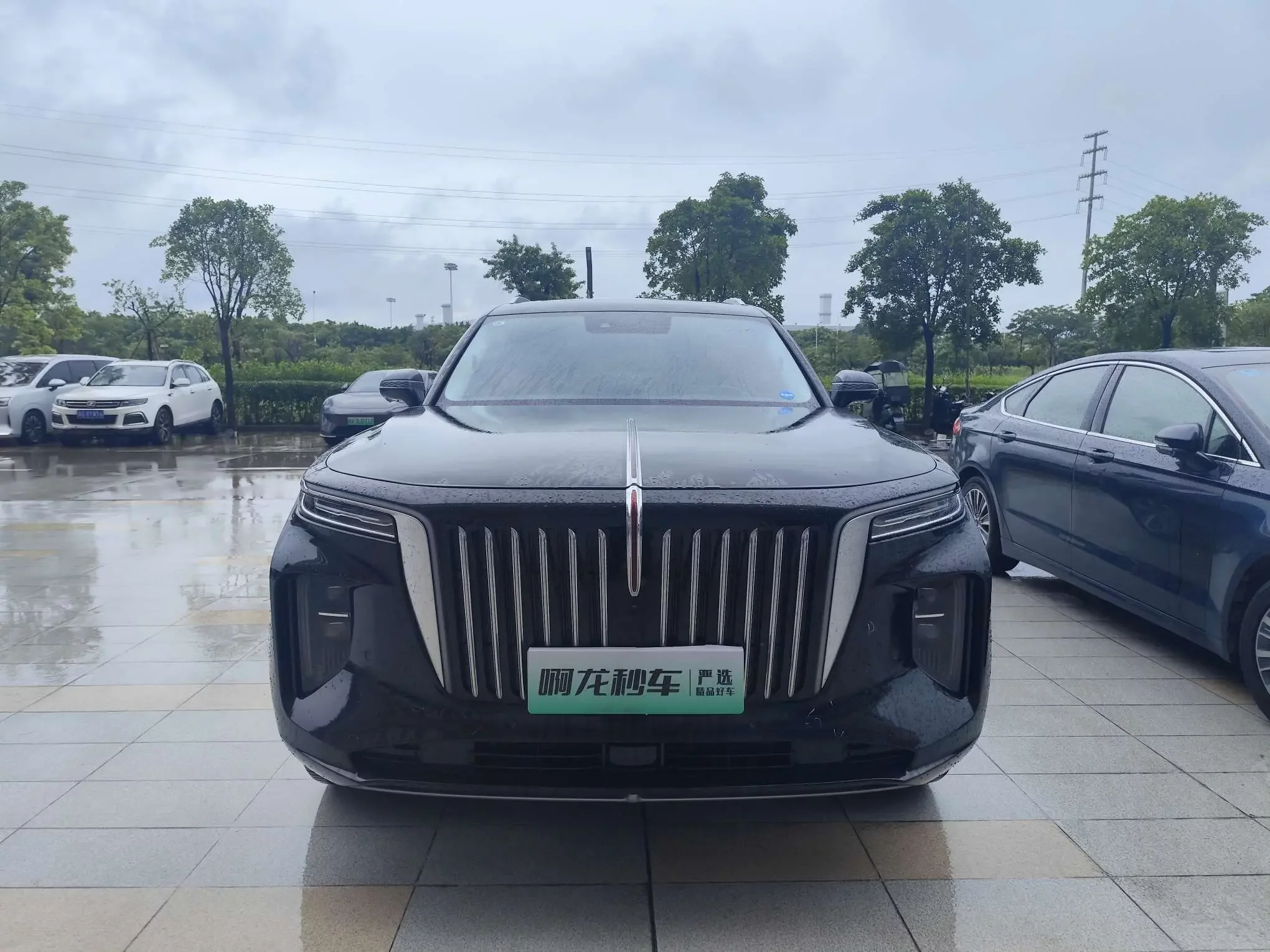 Hongqi E-HS9  из Китая