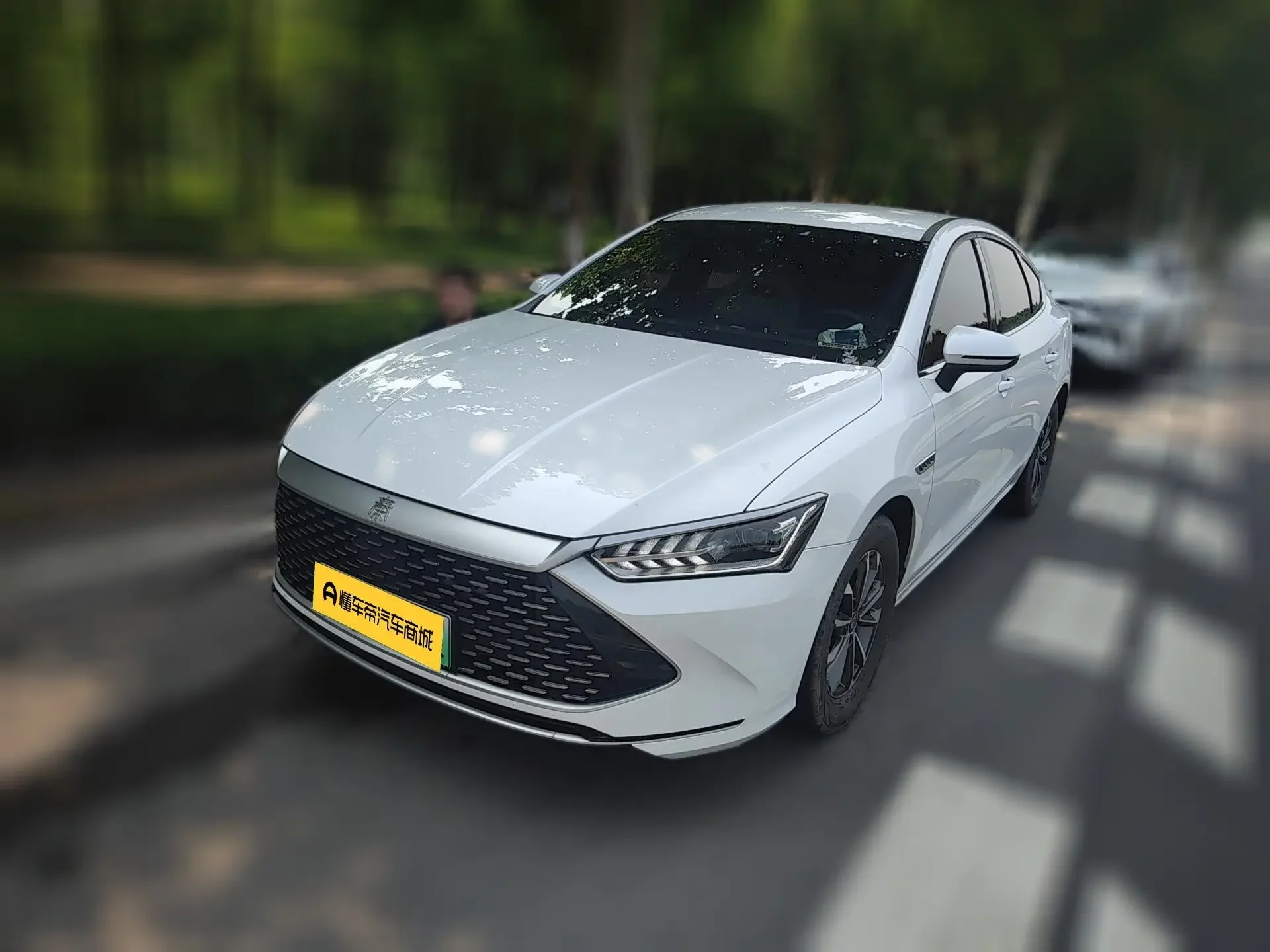 BYD Qin PLUS DM