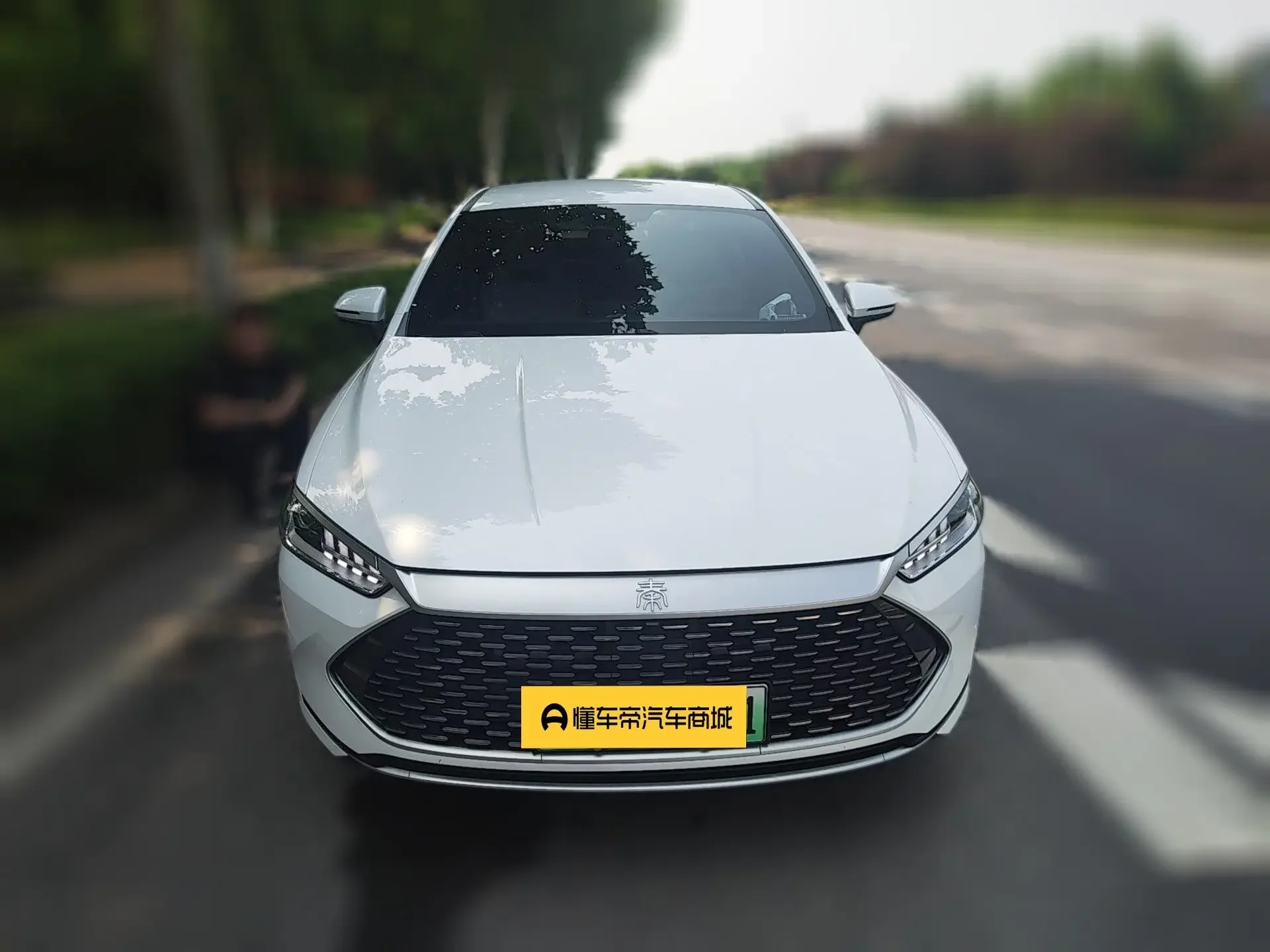 BYD Qin PLUS DM