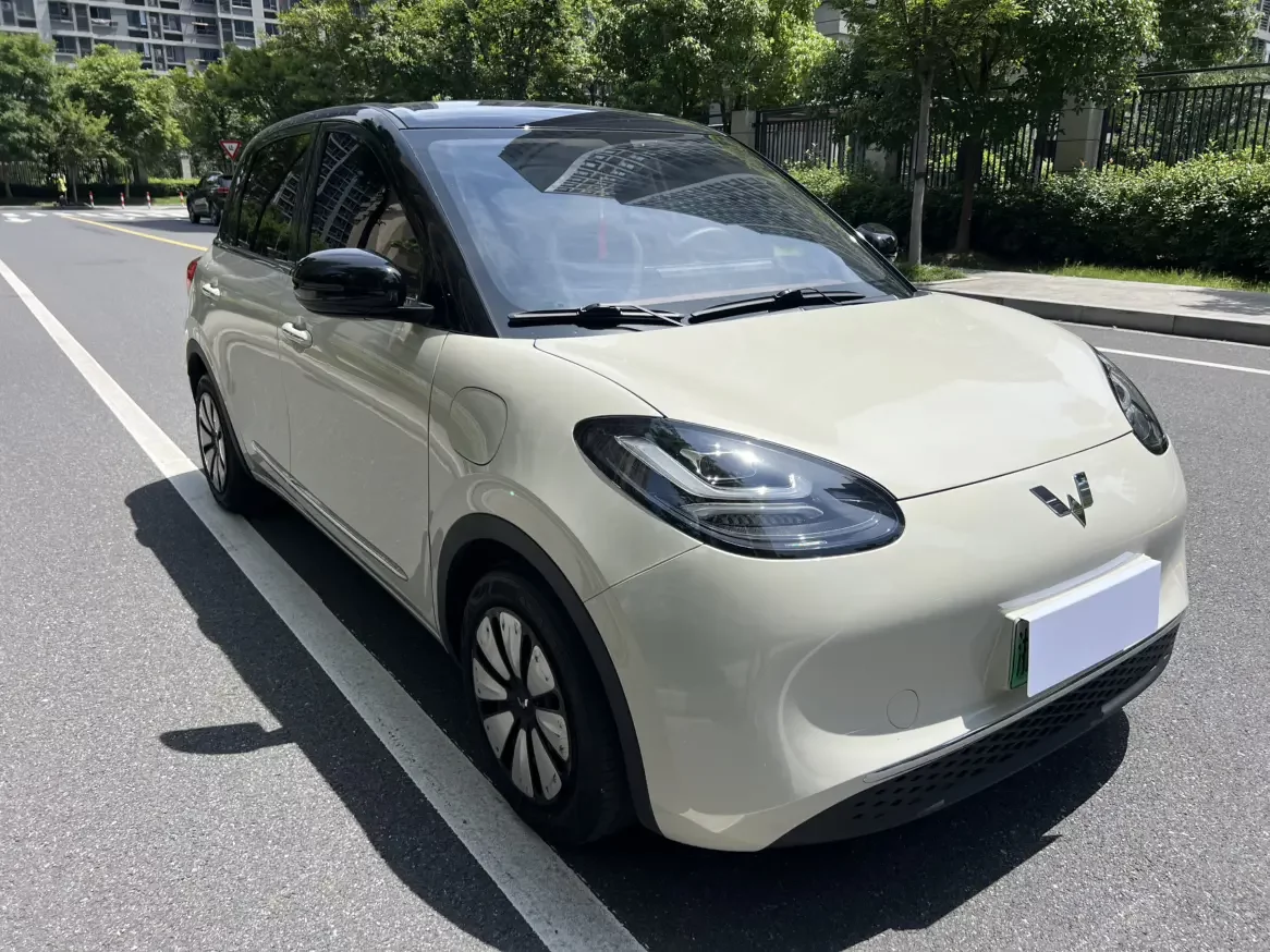 Wuling Bingo