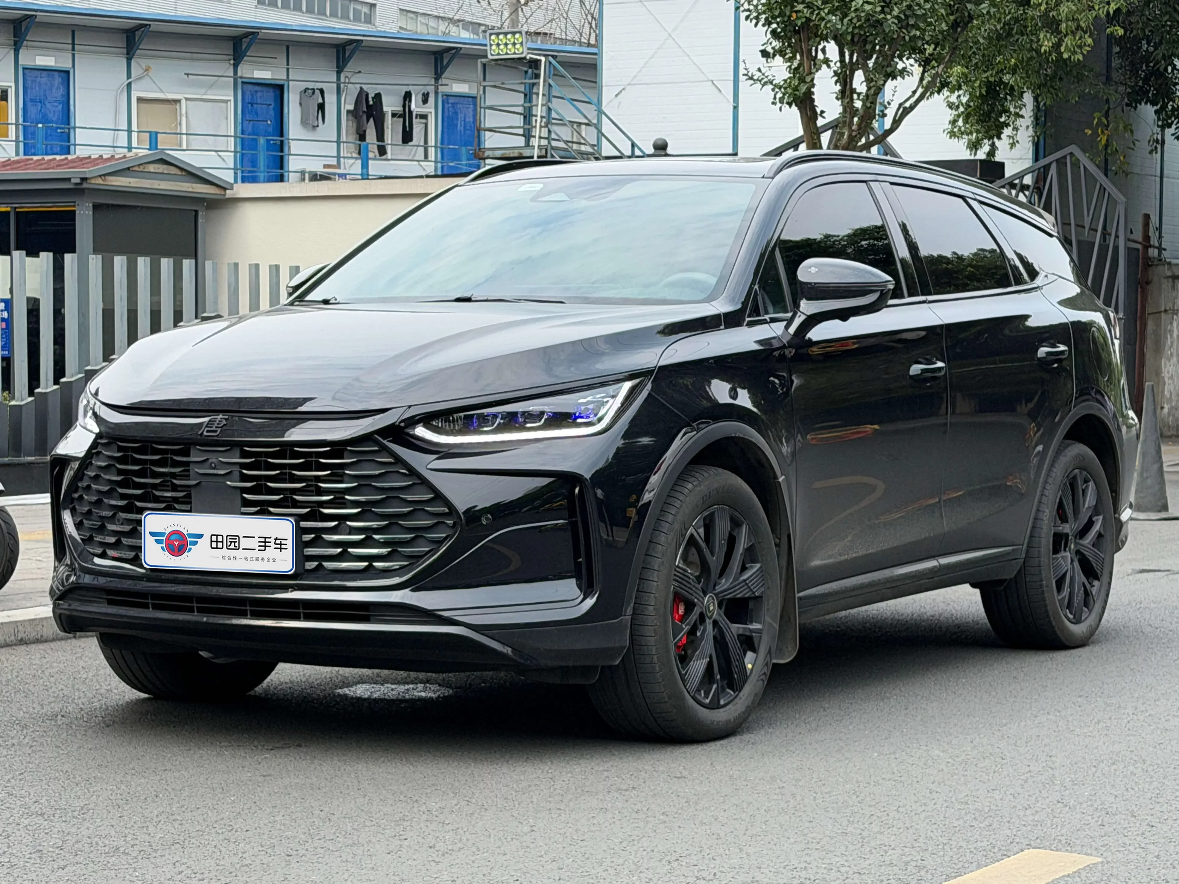 BYD Tang DM