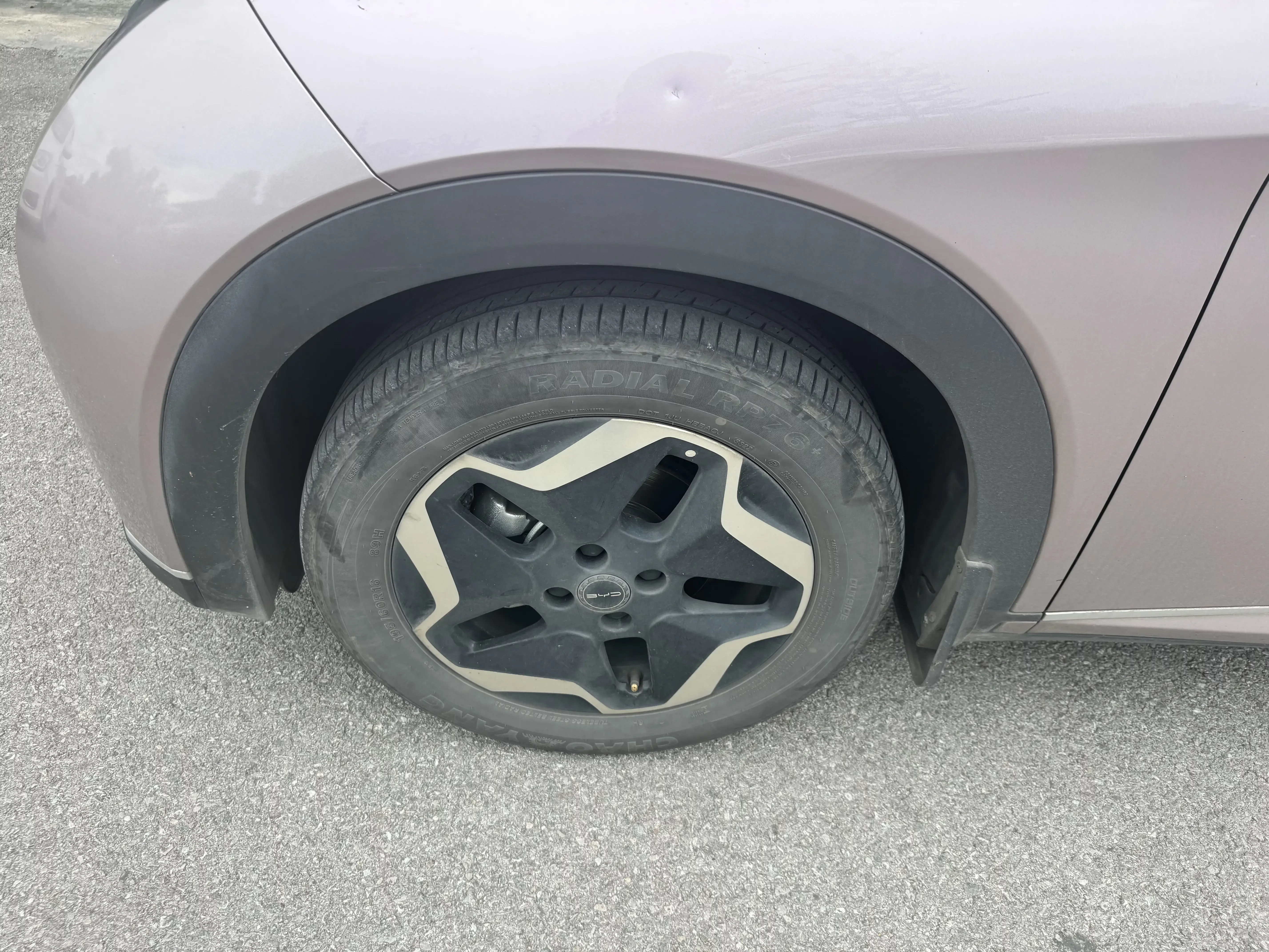 BYD dolphin