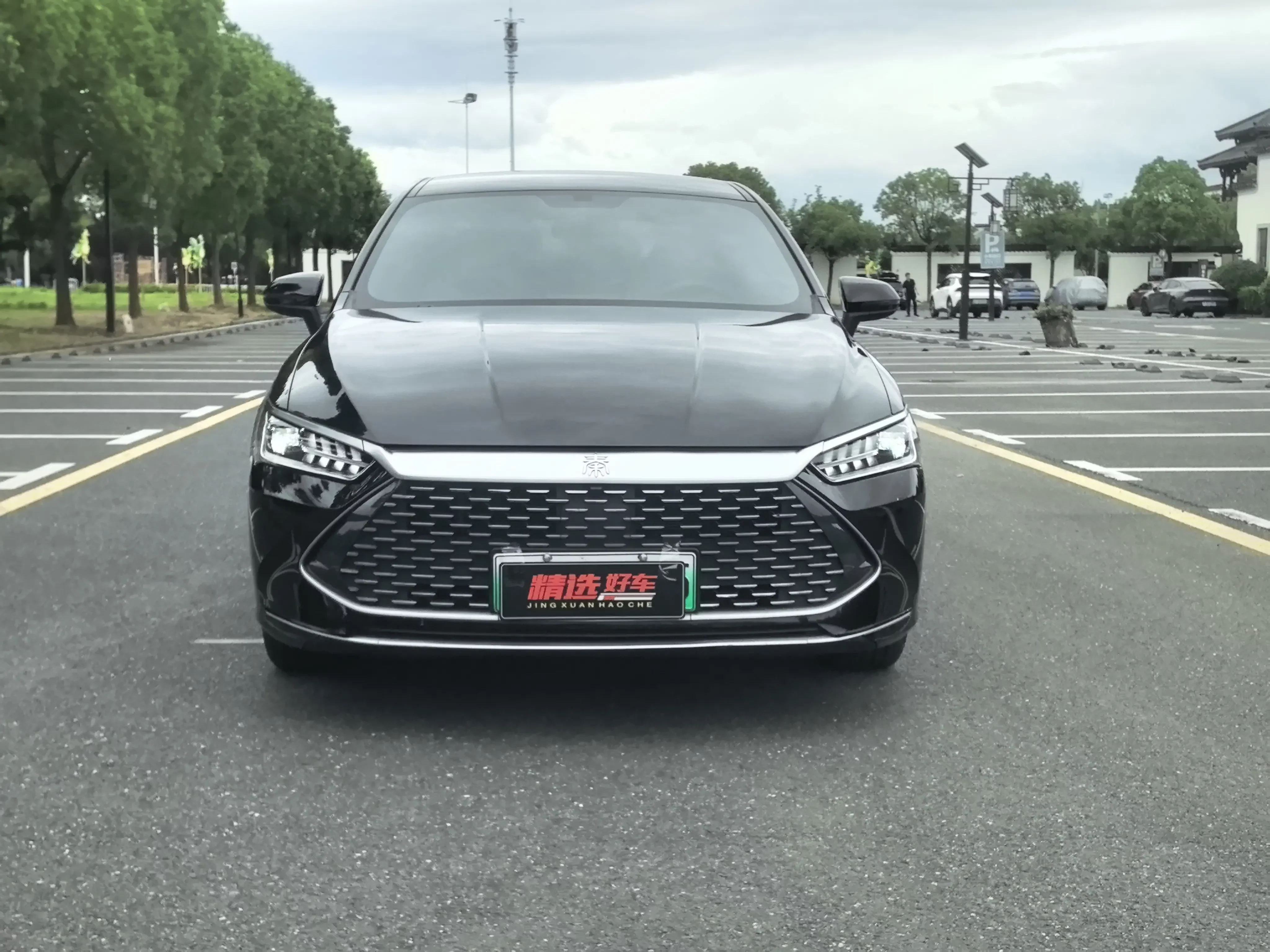BYD Qin PLUS DM