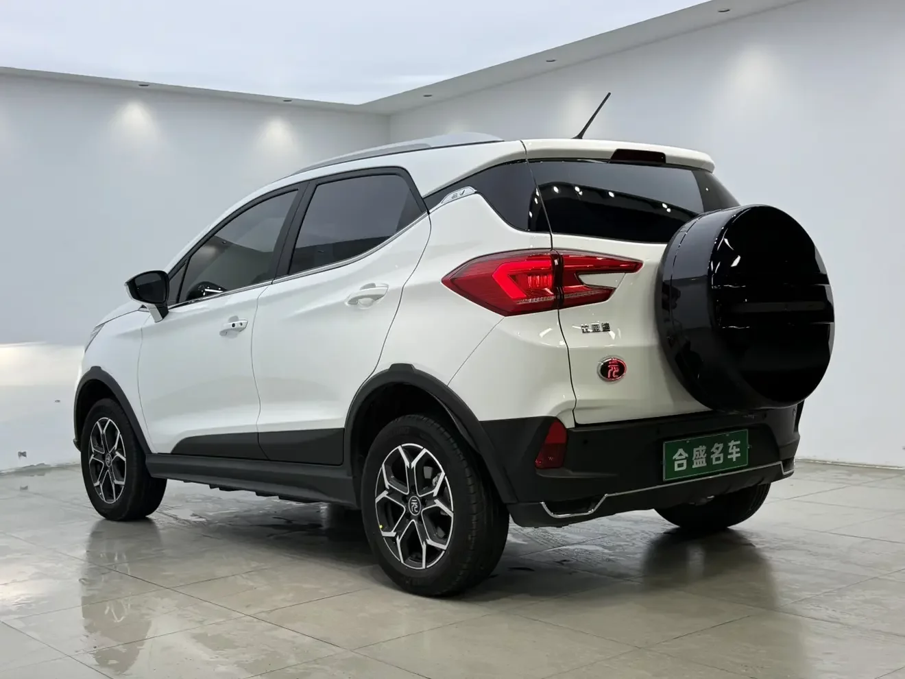 BYD Yuan Pro