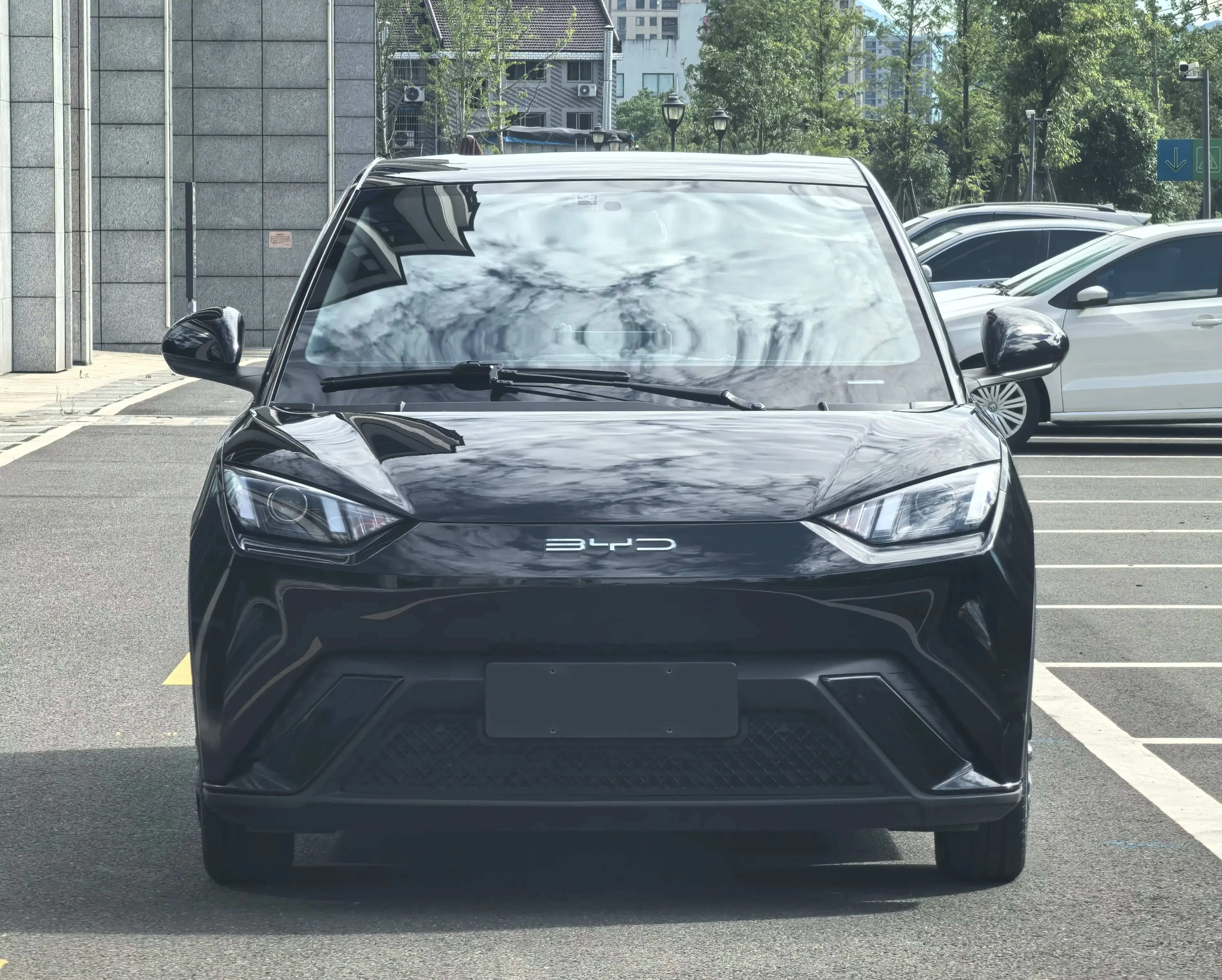 BYD seagull