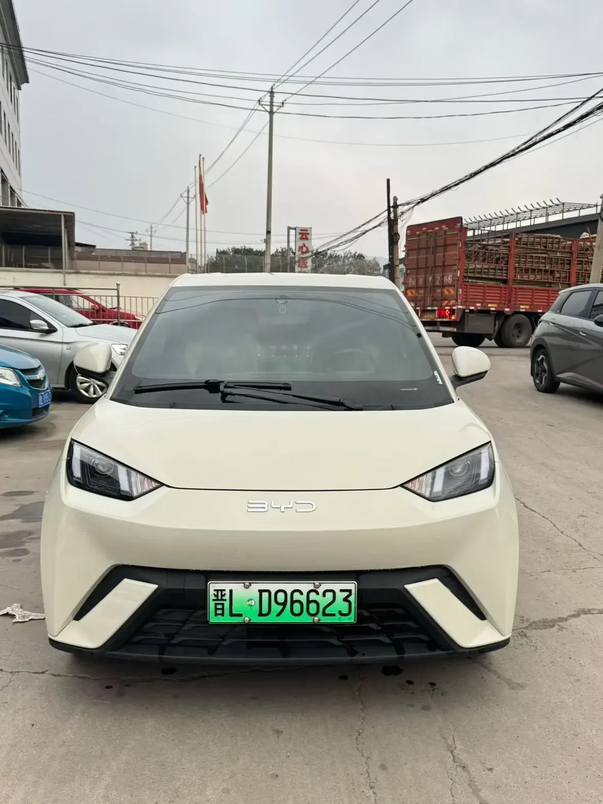 BYD seagull