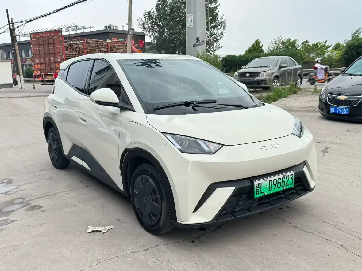 BYD seagull