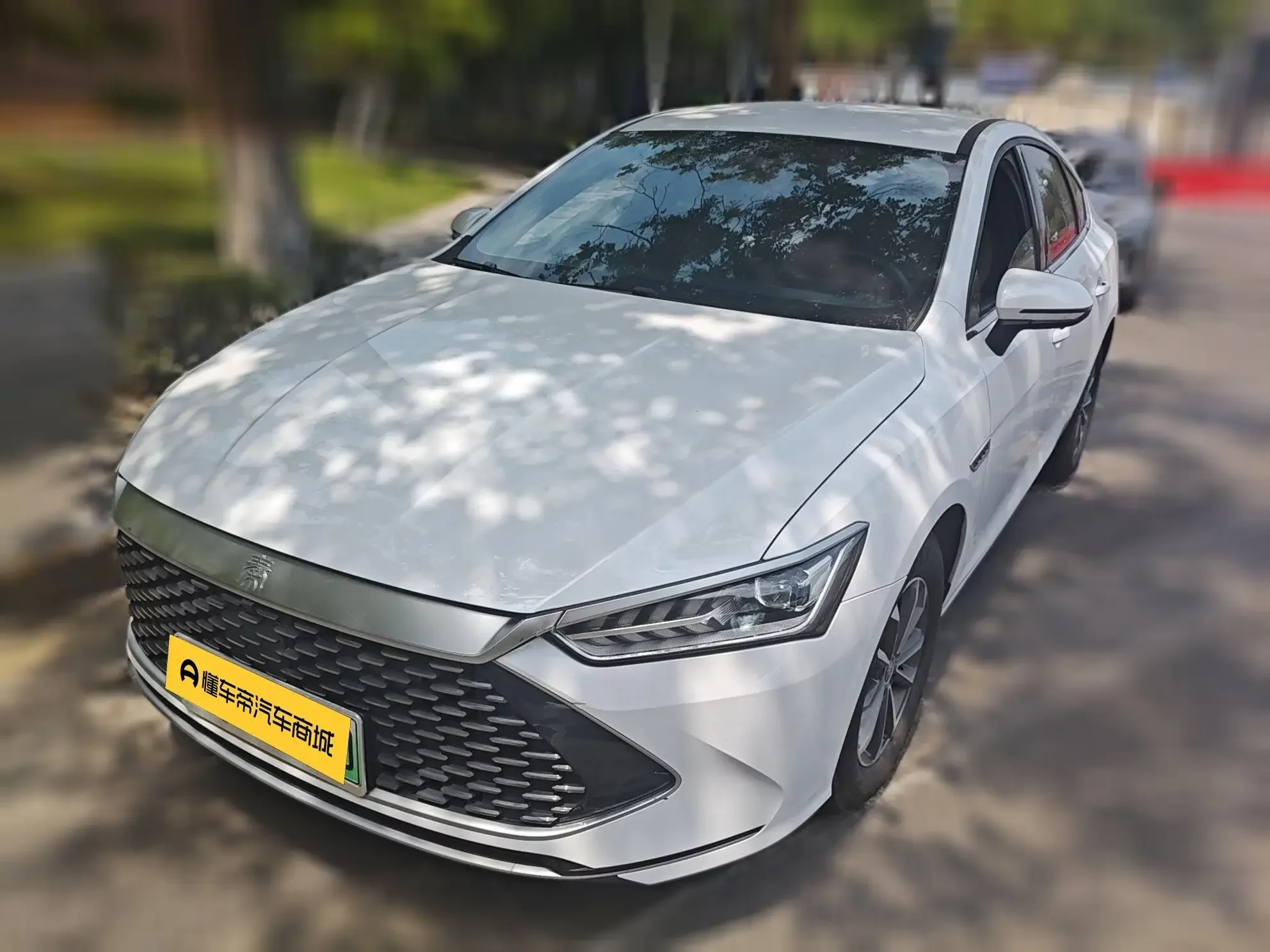 BYD Qin PLUS DM