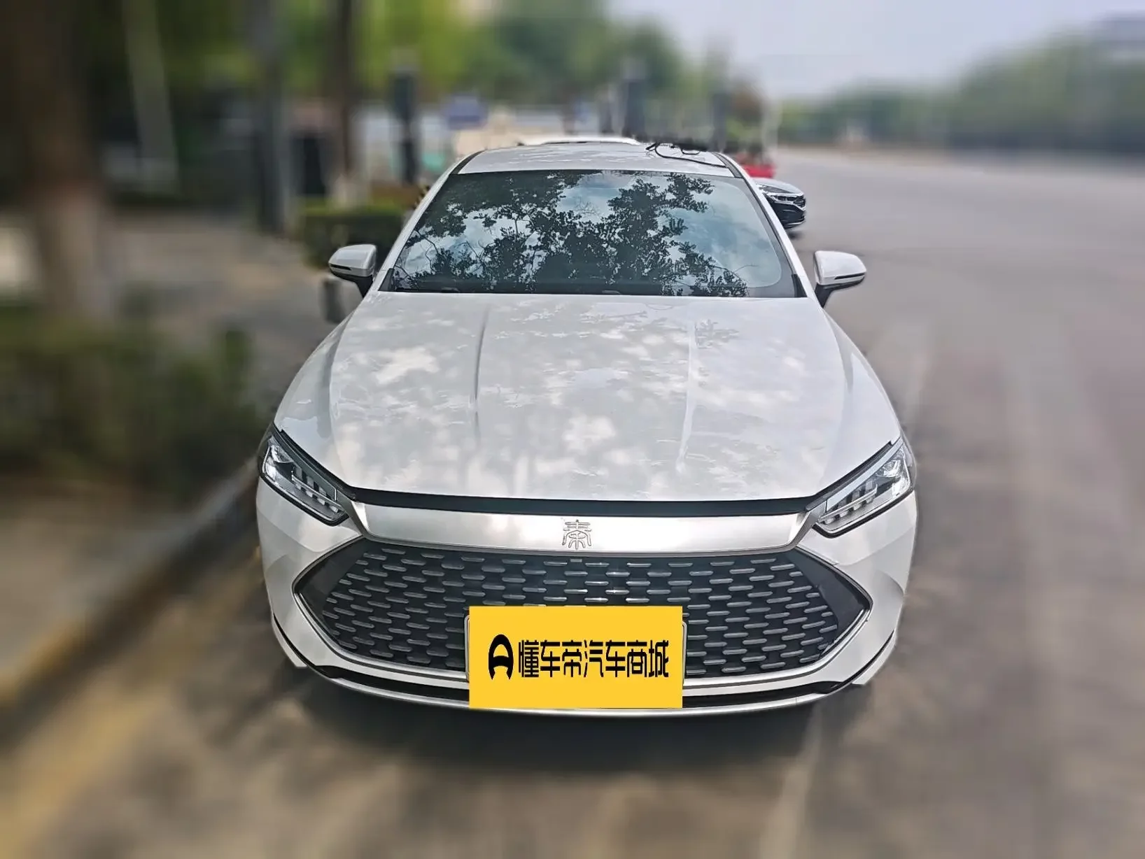 BYD Qin PLUS DM