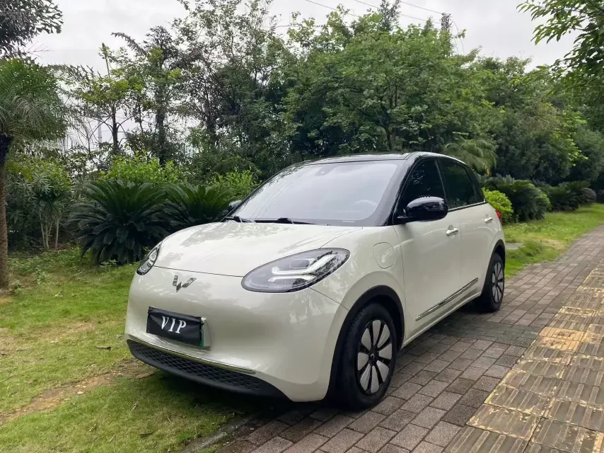 Wuling Bingo