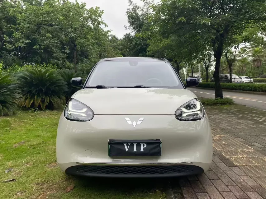 Wuling Bingo