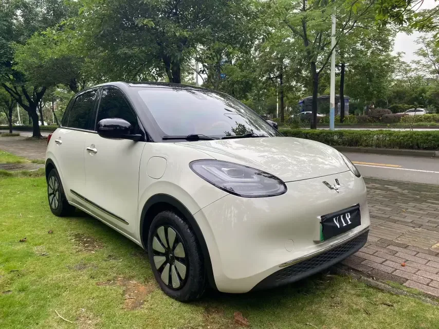 Wuling Bingo