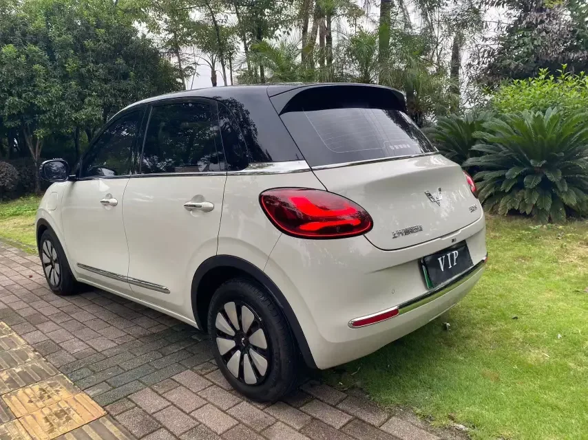 Wuling Bingo