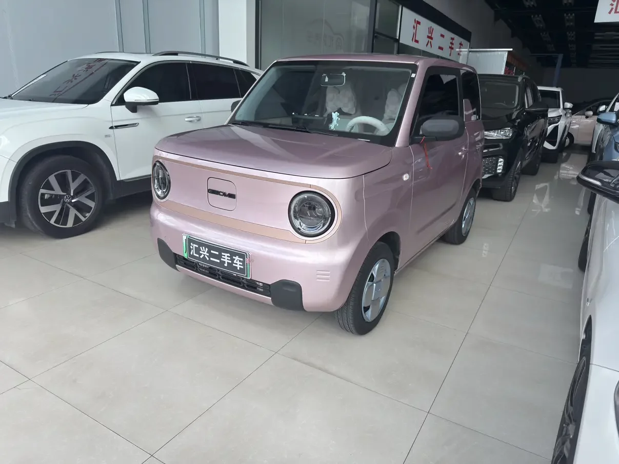 Geely panda