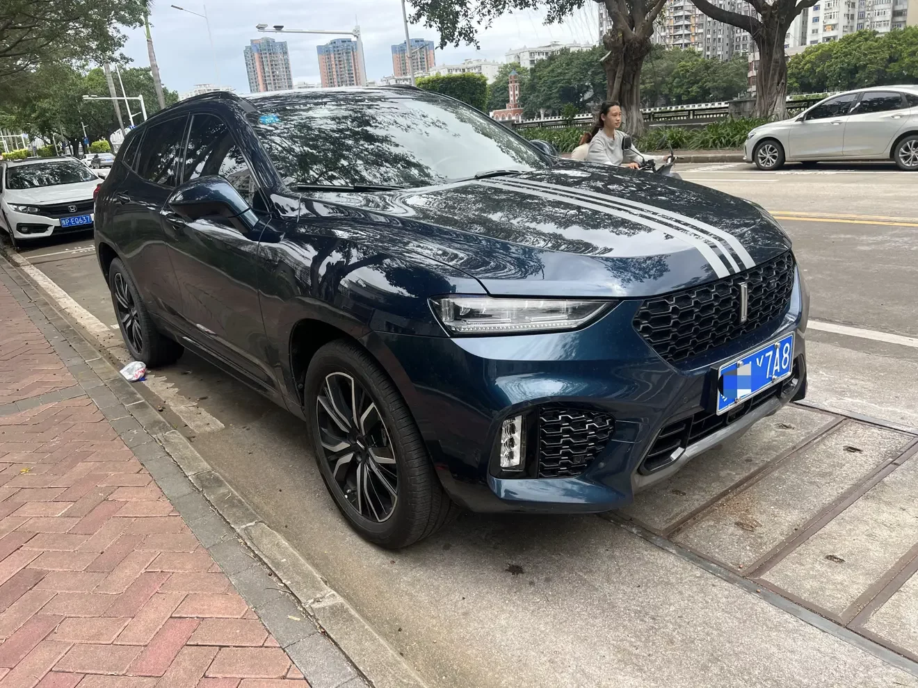 Wey Wei brand VV7