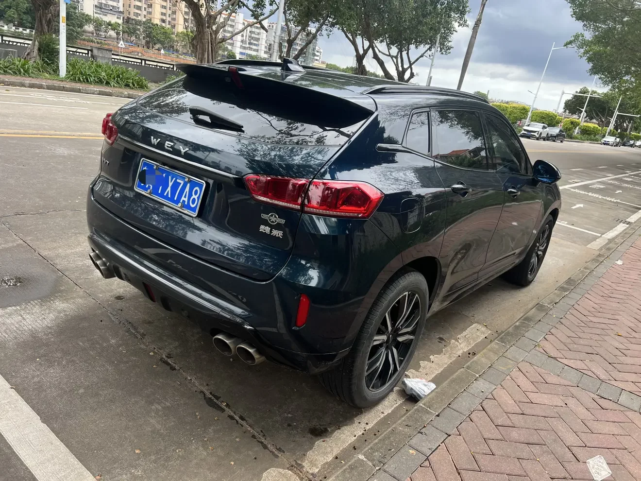Wey Wei brand VV7