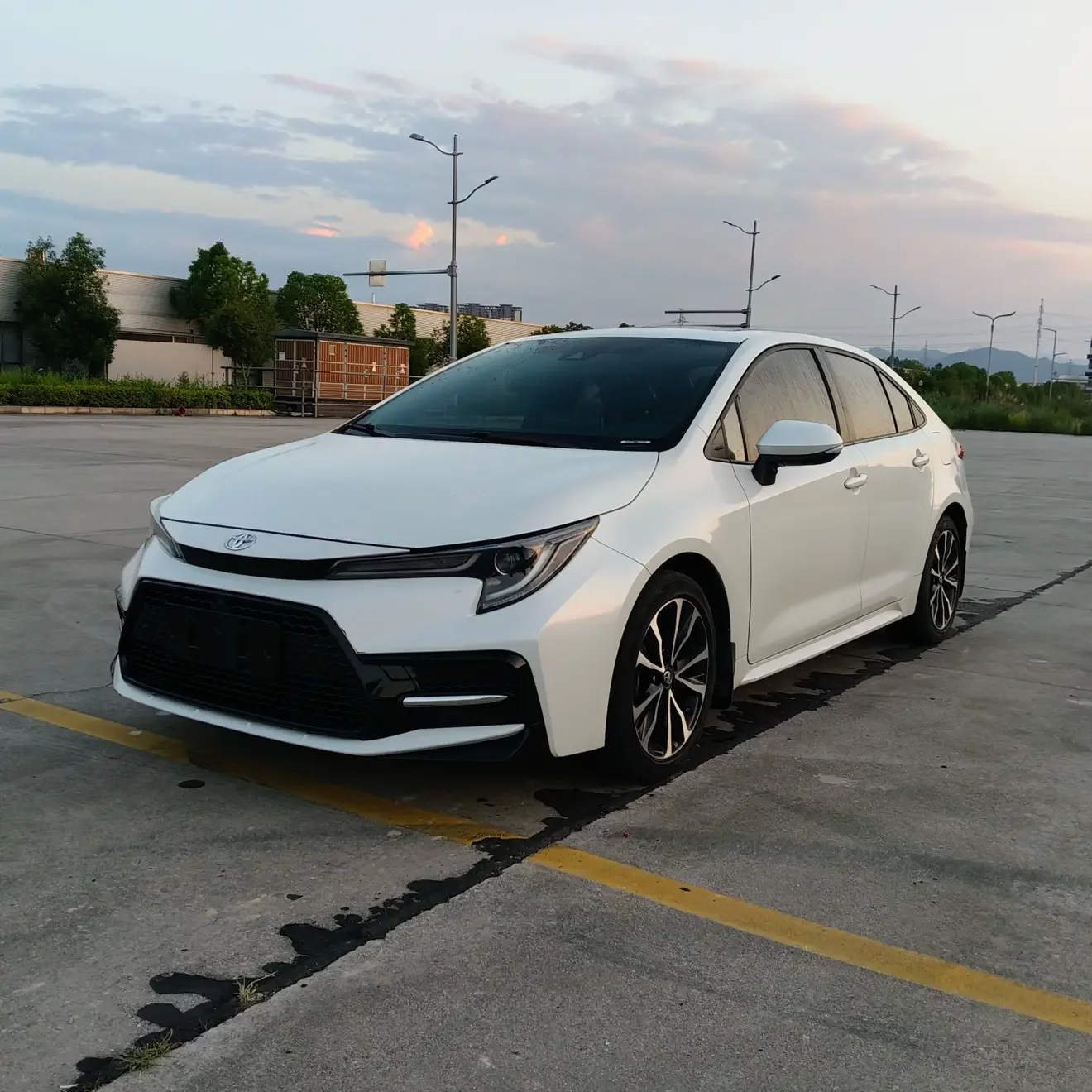 Toyota Levin