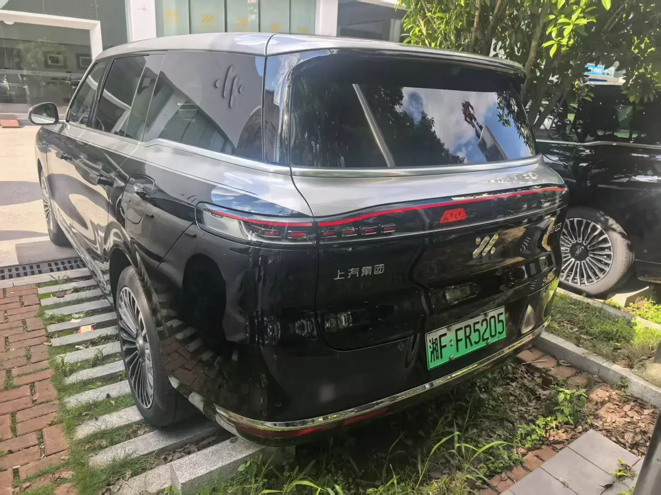 IM Motors LS9