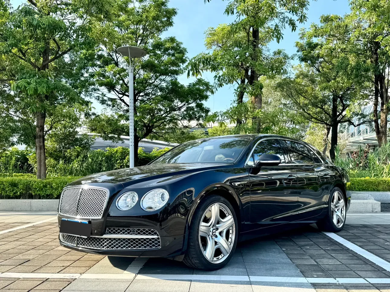 Bentley galloping