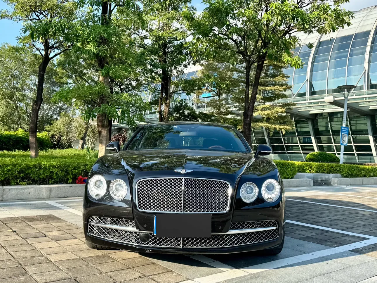 Bentley galloping