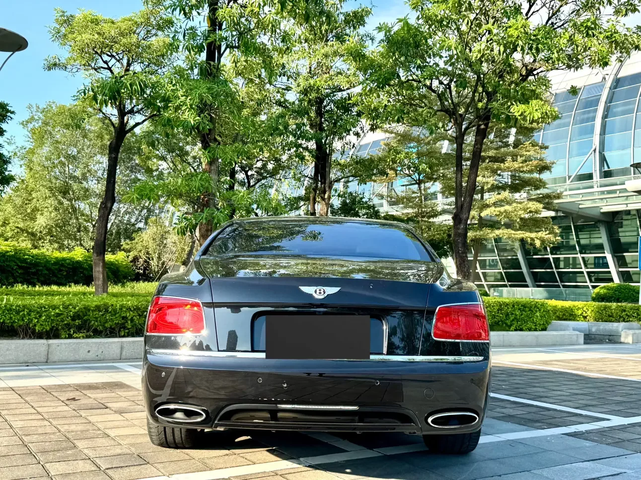 Bentley galloping