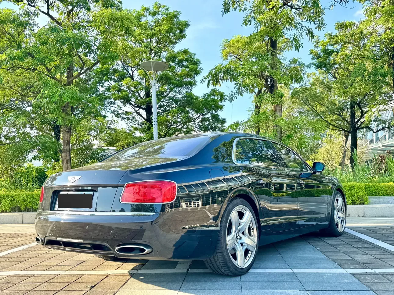 Bentley galloping