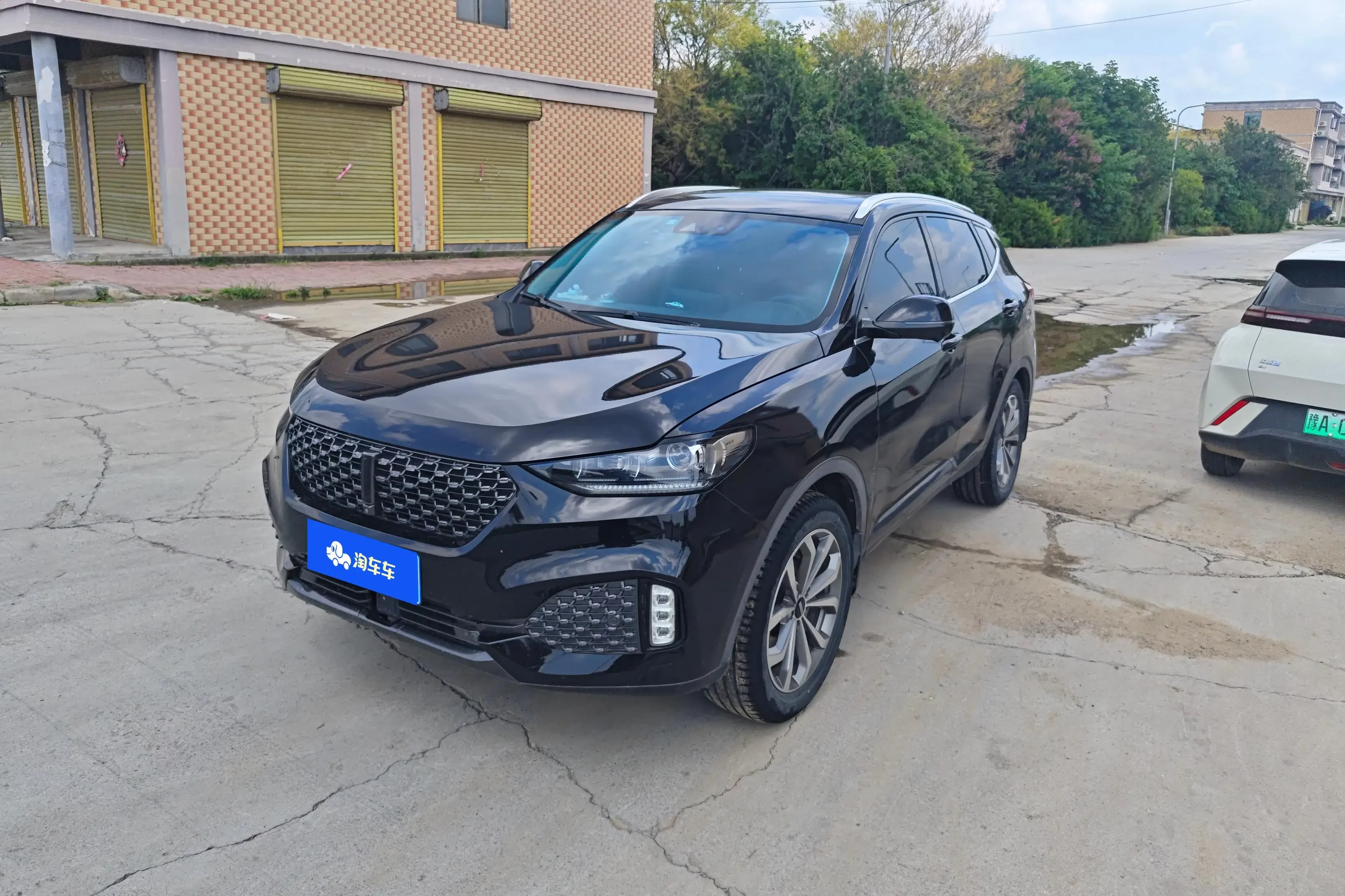 Wey Wei brand VV6