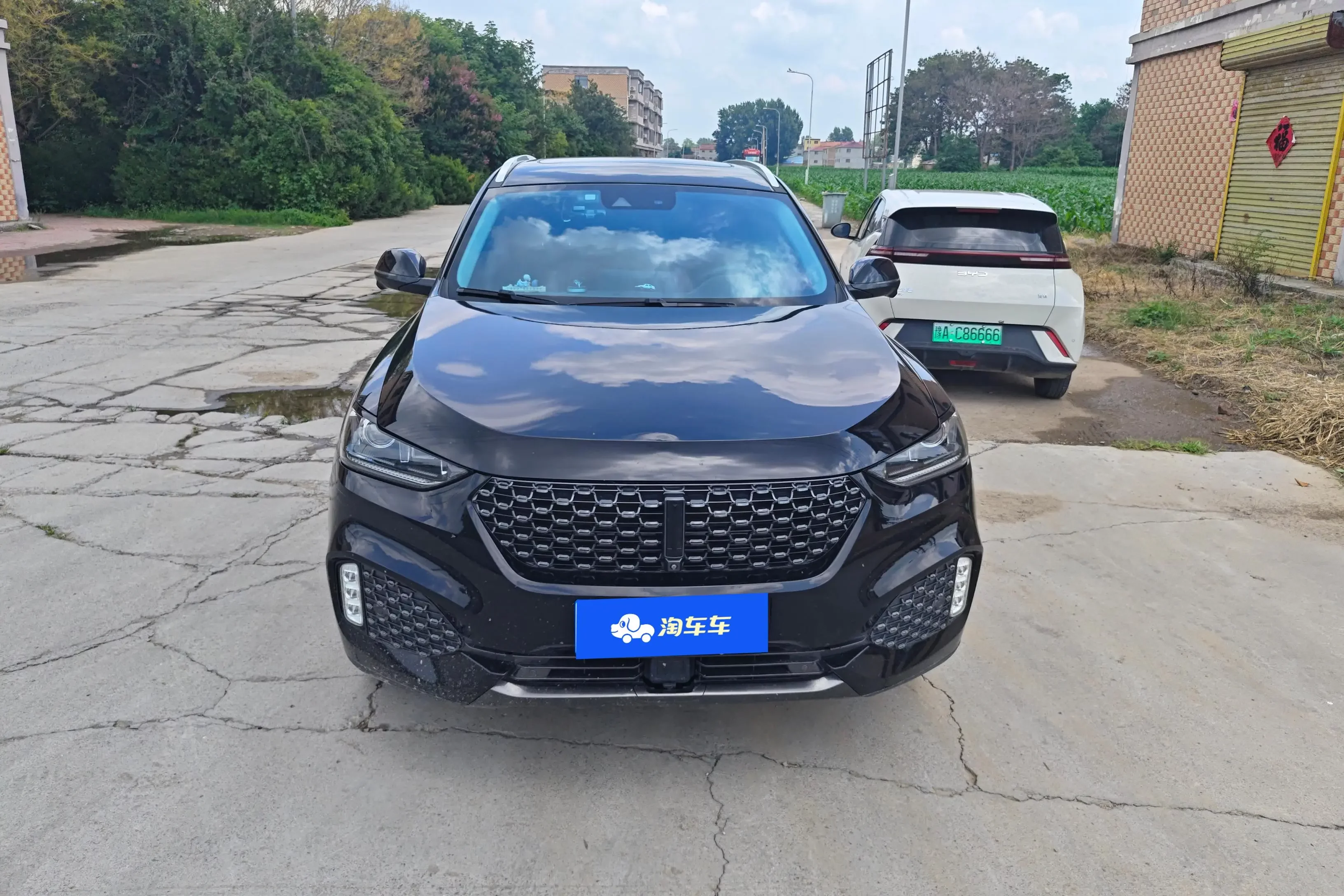 Wey Wei brand VV6