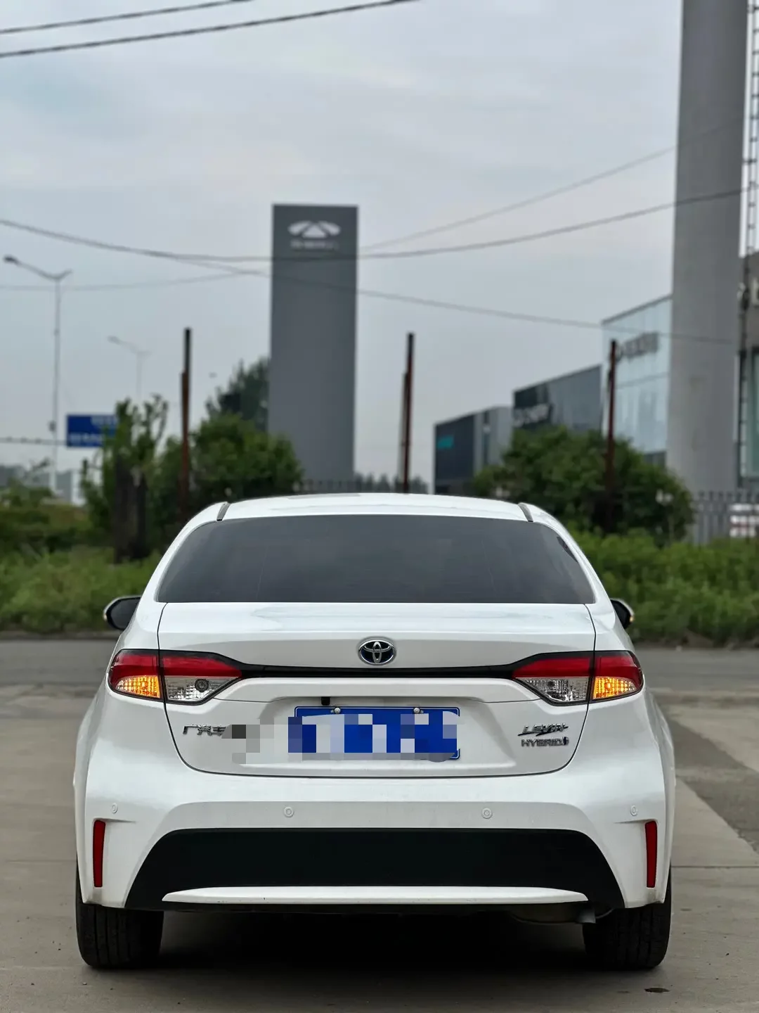 Toyota Levin