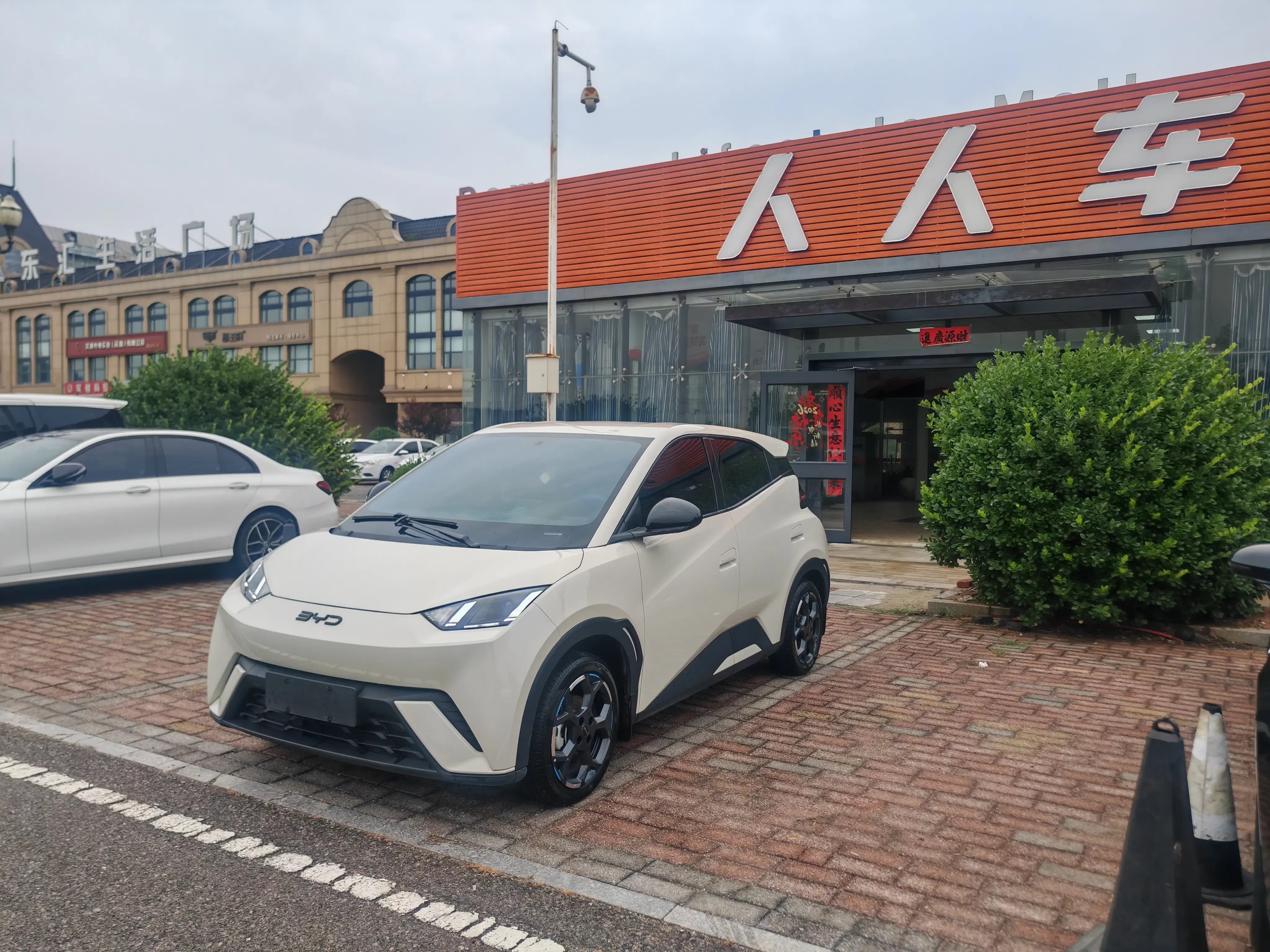 BYD seagull