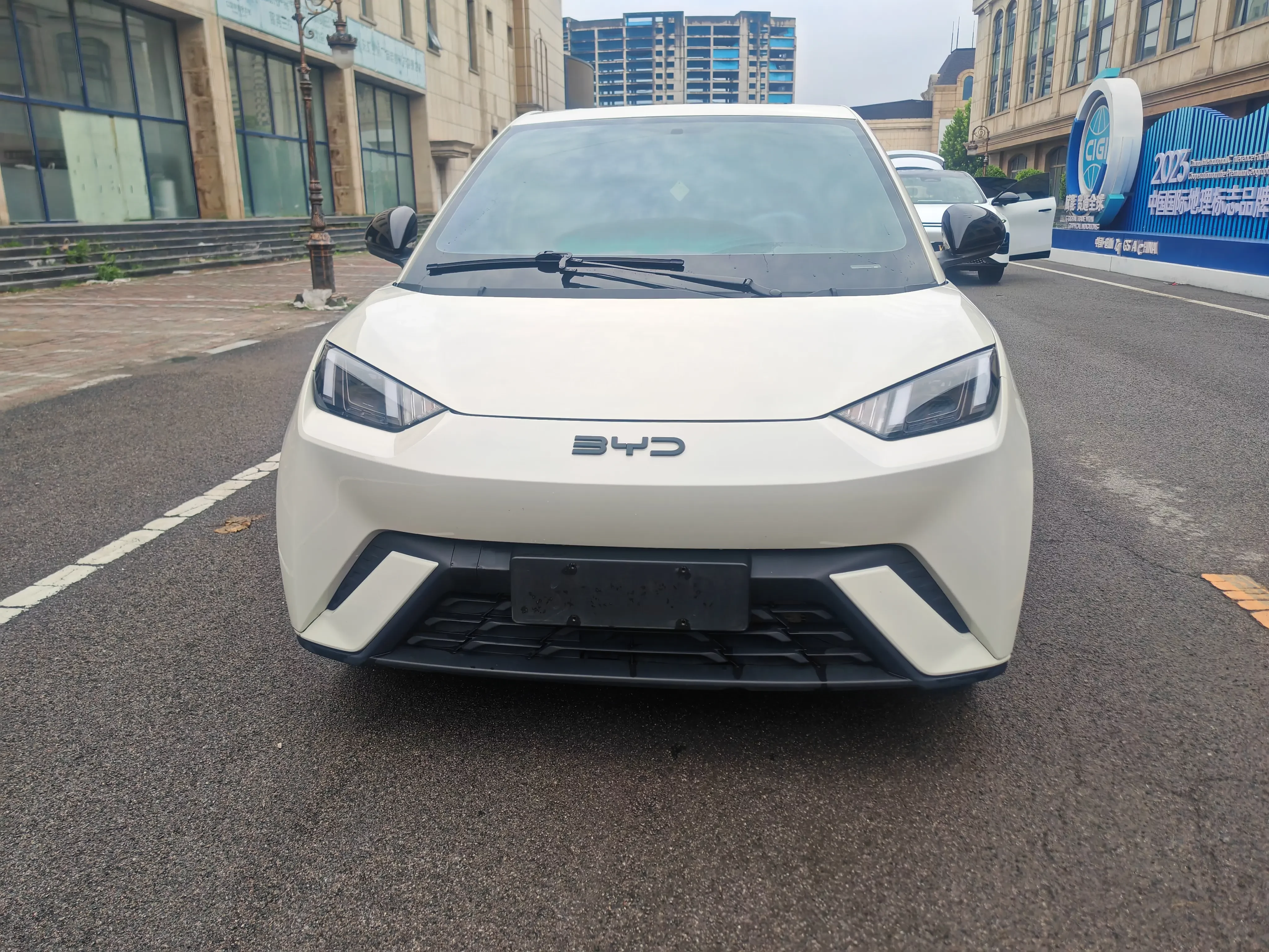 BYD seagull
