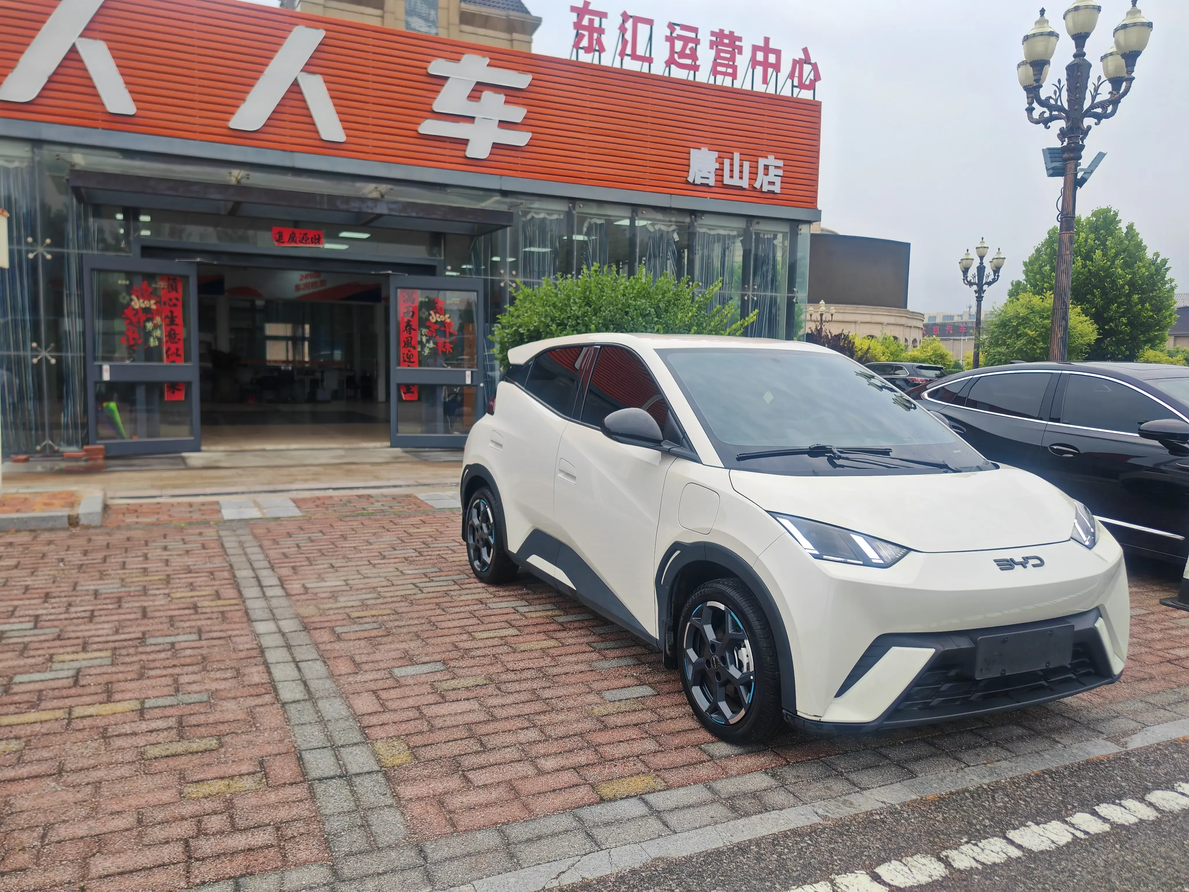 BYD seagull