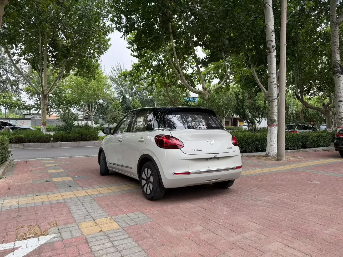 Wuling Bingo