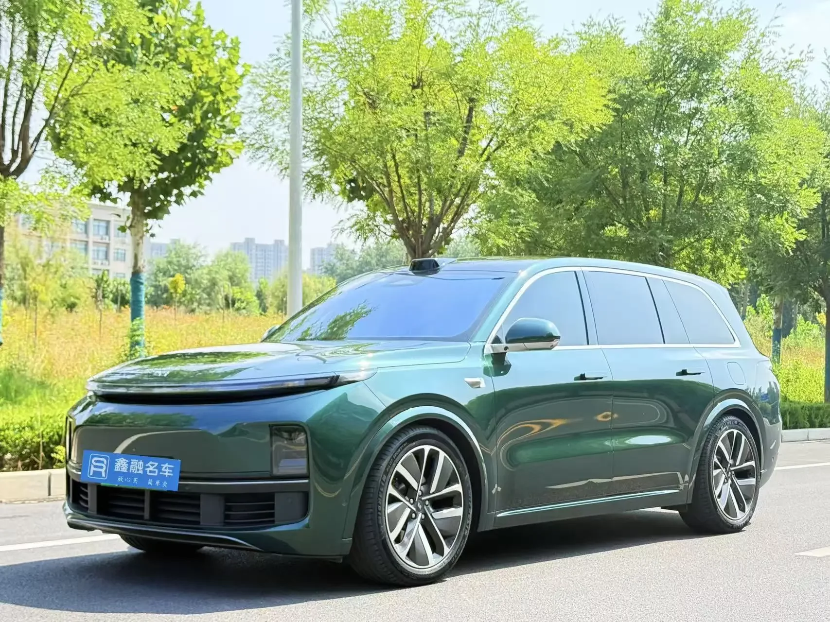 Lixiang L9