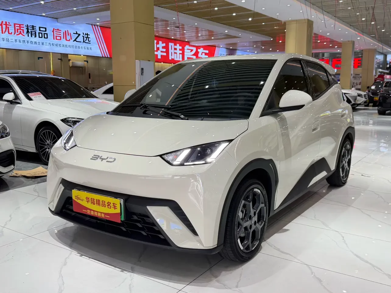 BYD seagull