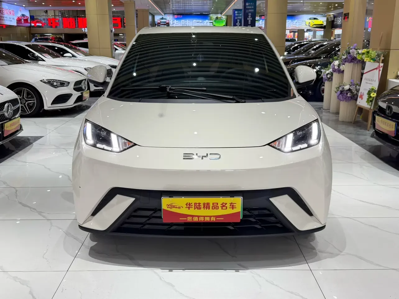 BYD seagull