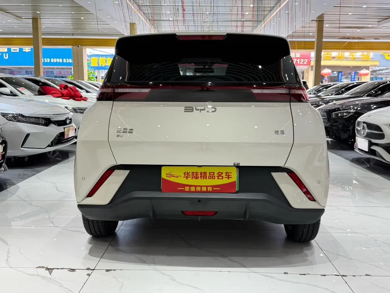 BYD seagull