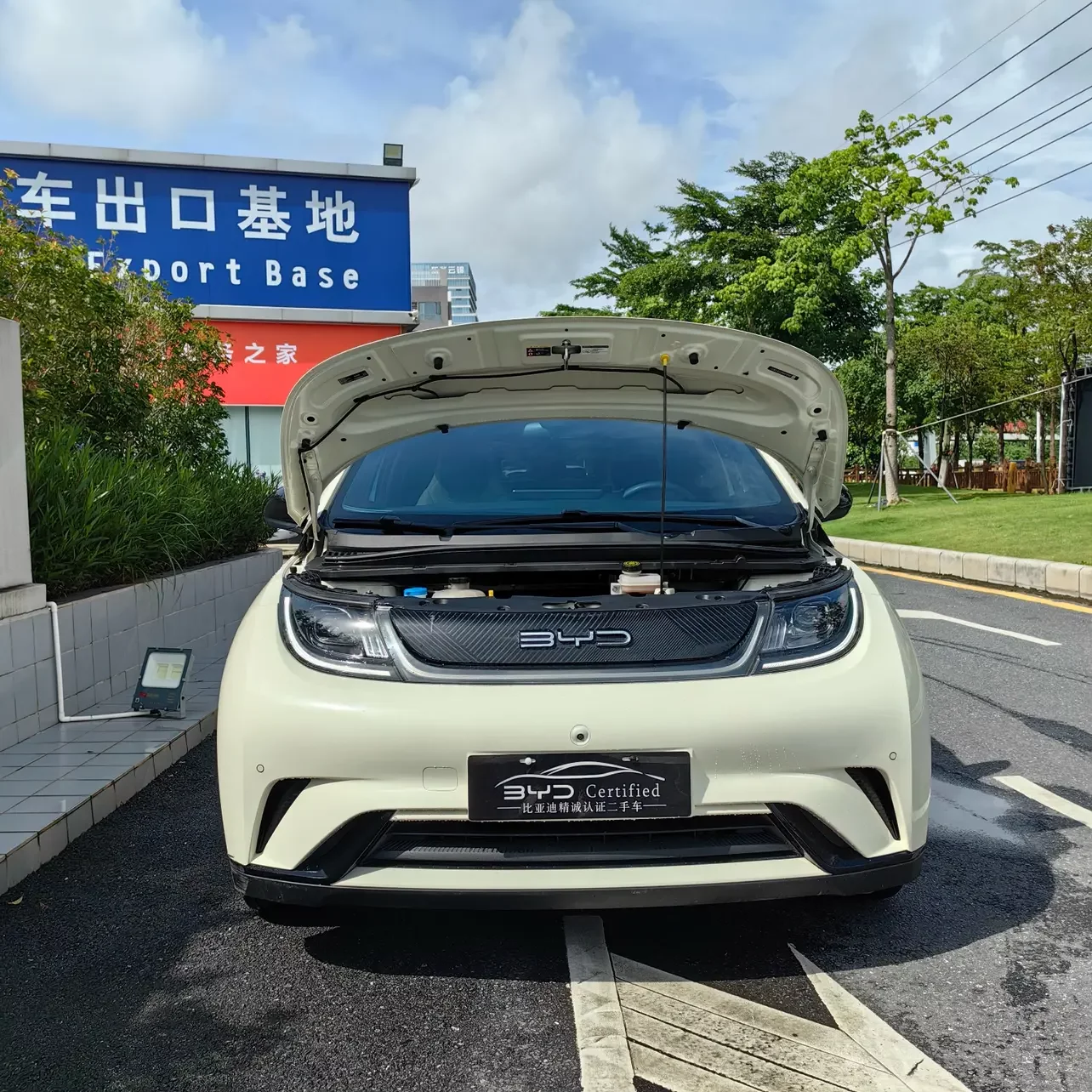BYD dolphin