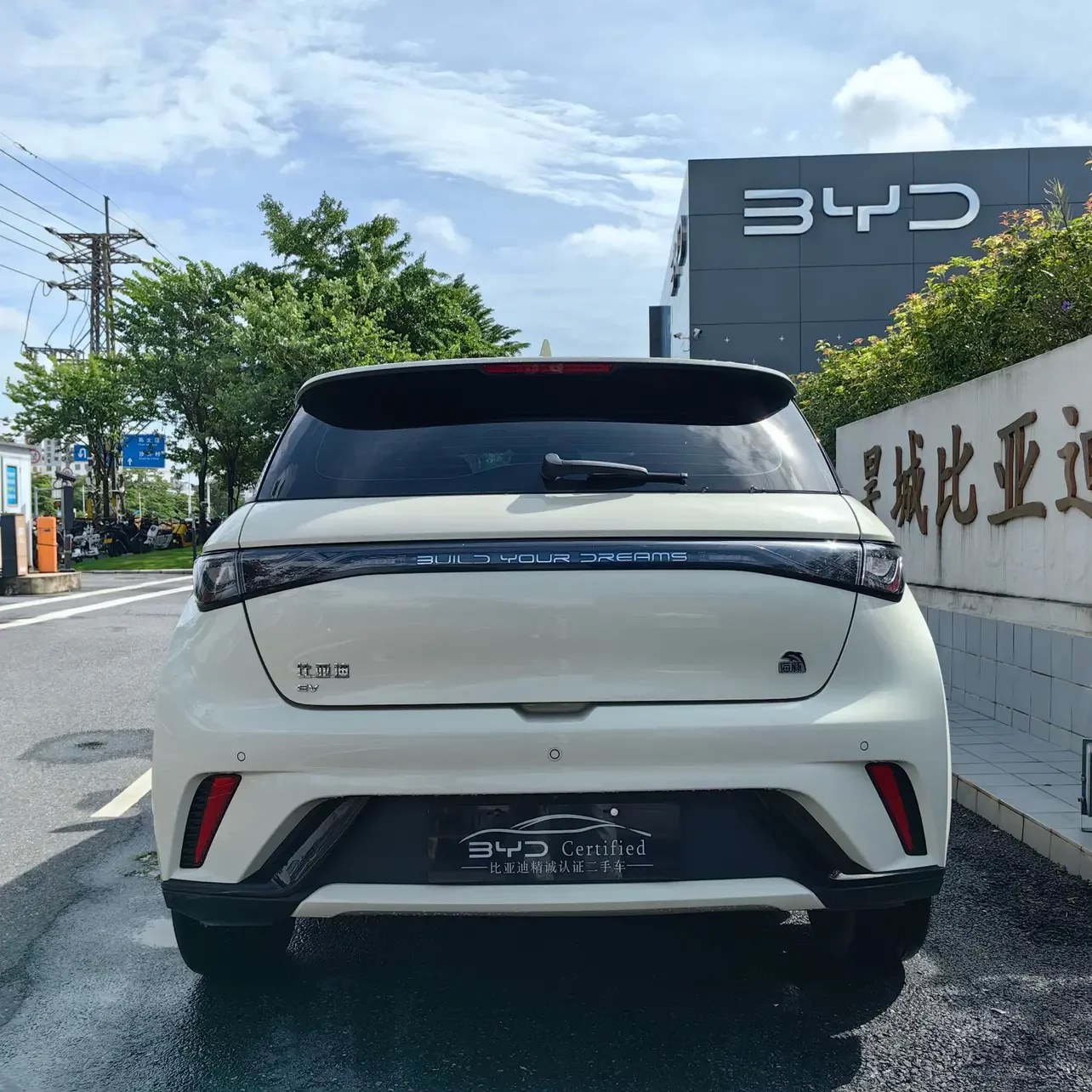 BYD dolphin