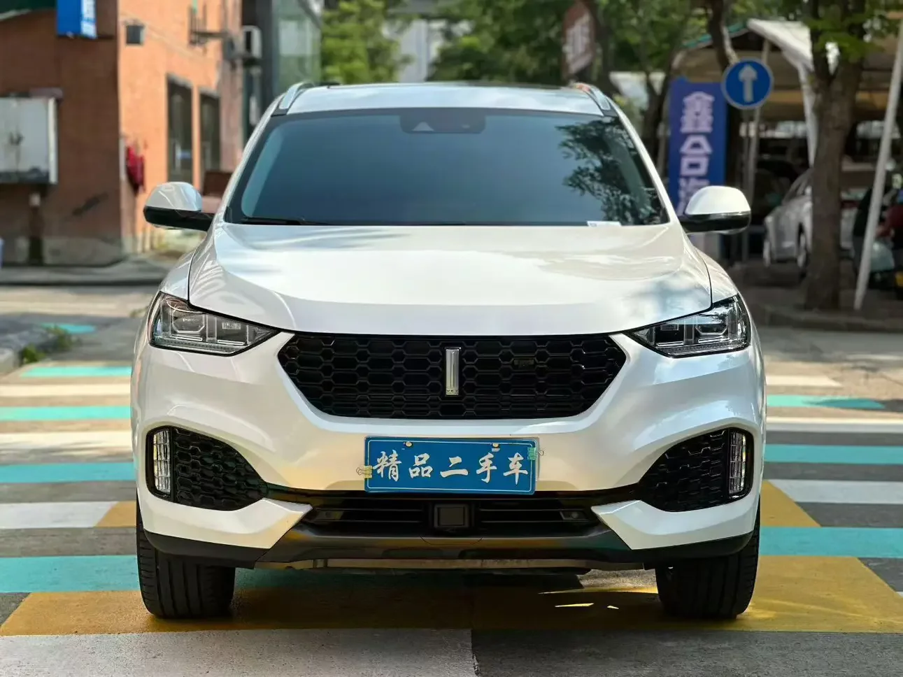 Wey Wei brand VV6