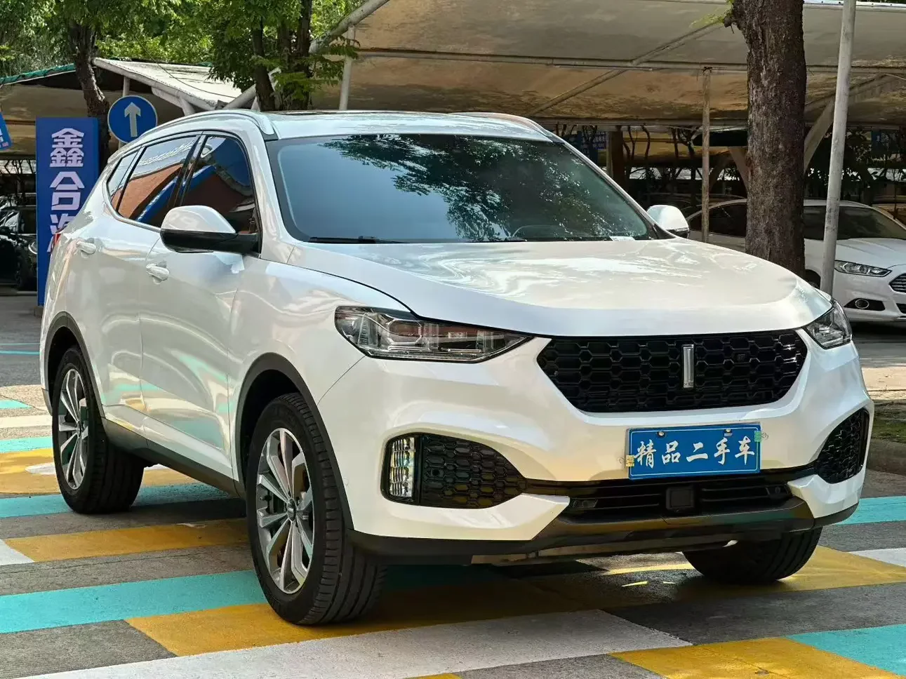 Wey Wei brand VV6