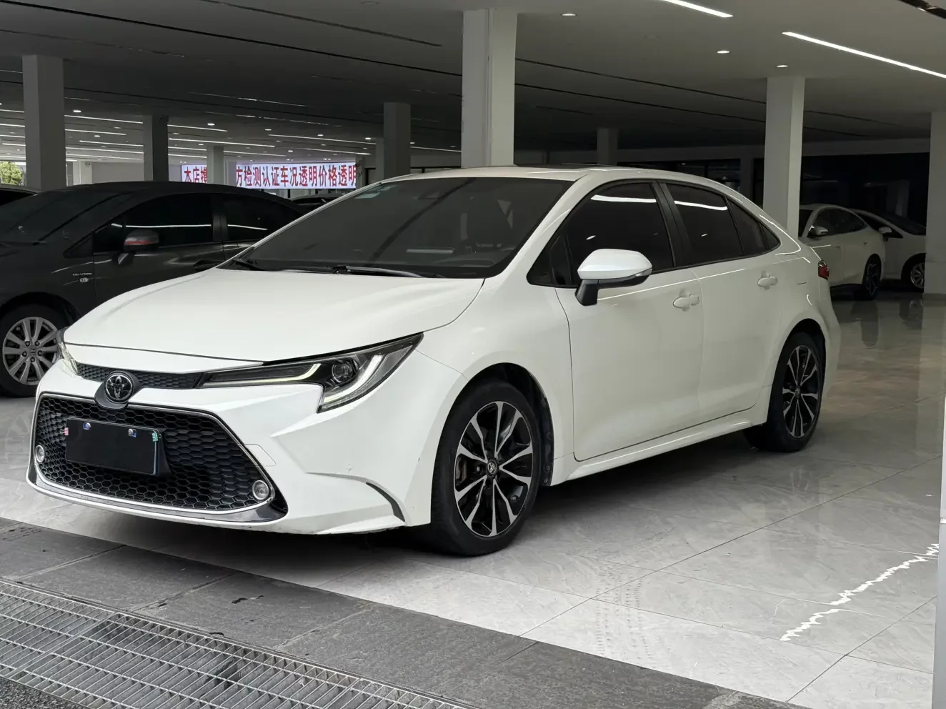 Toyota Levin